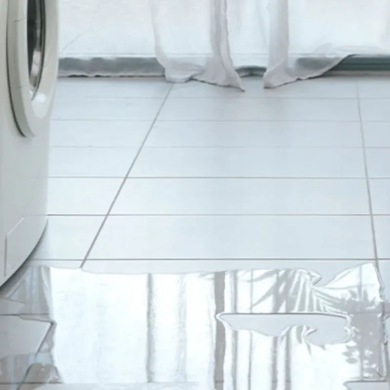 Appliance Leak Cleanup in Schertz, TX
