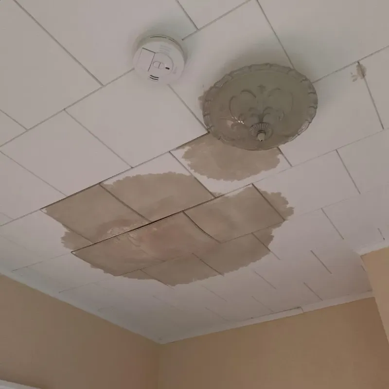 Ceiling Water Damage Repair in Schertz, TX